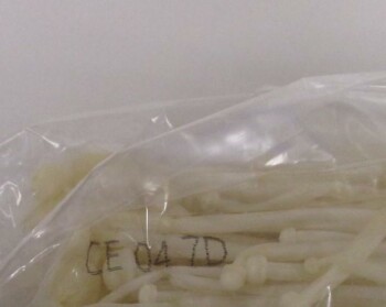 食品召回 Golden Mushroom Enoki Mushroom - recalled due to Listeria monocytogenes The affected product is bein... 照片 #2