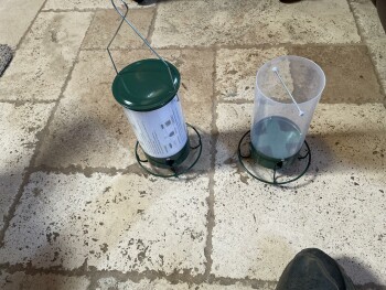 Unordered Bird Feeder صورة فوتوغرافية #1