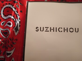 Rapport de sécurité du consommateur Unordered package from Jane I received a Suzhichou scarf I did not order. Never even heard of JANE u... photo #1