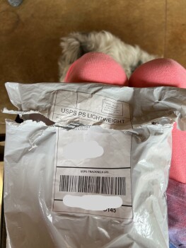 Rapport de sécurité du consommateur I received a grey shirt I didn’t order I received a grey shirt that I didn’t order. It’s a XXL. I we... photo #2