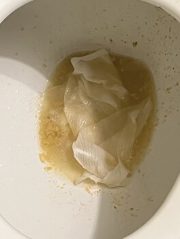 مراجعة المستهلك - سلامة الغذاء Popeyes Louisiana Kitchen, Old Industrial Boulevard, McDonough, GA, USA I think it was food poisonin... صورة فوتوغرافية #2