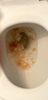 مراجعة المستهلك - سلامة الغذاء Popeyes Louisiana Kitchen, Old Industrial Boulevard, McDonough, GA, USA I think it was food poisonin... صورة فوتوغرافية #3