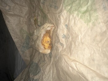 Taco Bell, West Government Street, Brandon, MS, USA photo #1