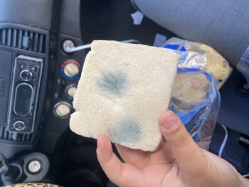 Consumer Review - Food Safety Lidl, Rue Jean Jaurès, Vieux-Condé, France INACCEPTABLE !!! J’ai acheté un pain de mis hier soir , l... photo #1