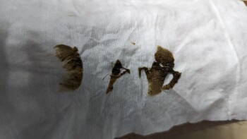 Avis du consommateur - Sécurité alimentaire Popeyes Louisiana Kitchen, E I-25 Frontage Rd, Firestone, CO 80504, USA I went to Popeyes Wednesday... photo #1