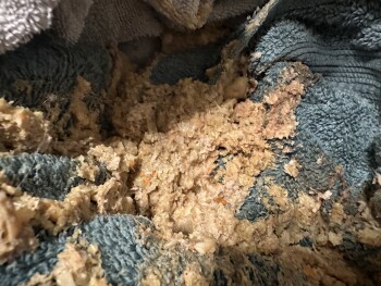 KFC, 2540 Delk Road Southeast, Marietta, GA, USA photo #3