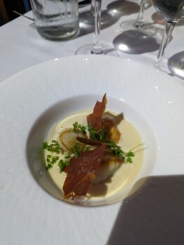 Scollops, La Tupina, Rue Porte de la Monnaie, Bordeaux, France photo #1