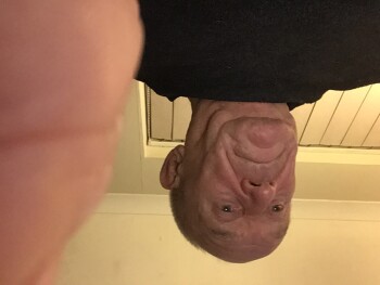 Scam from PPP*hope hole 照片 #1