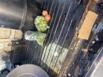 Avis du consommateur - Sécurité alimentaire Tacos Lupita, 2415 Pasadena Avenue, Los Angeles, CA, USA On 10/5/2023 Meat was raw and bad The meat... photo #2