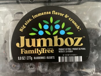 The Fresh Market, West Sunrise Boulevard, Plantation, FL, USA صورة فوتوغرافية #1