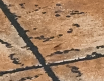 Warisan Indonesian Soul Food, Jalan Gajah Mada, RT.13/RW.8, Keagungan, West Jakarta City, Jakarta, Indonesia photo #1