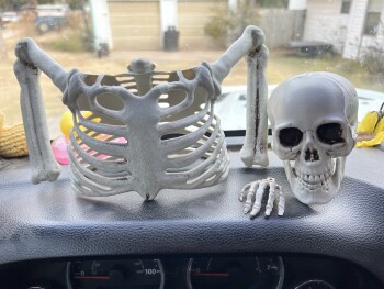 Fraud - Beaqequeen Co., Ltd photo #1