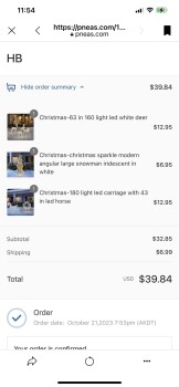 消费者安全报告 Scam from Holly Lobby Pneas.com Ordered a few Christmas outside items never received order in Octobe... 照片 #2