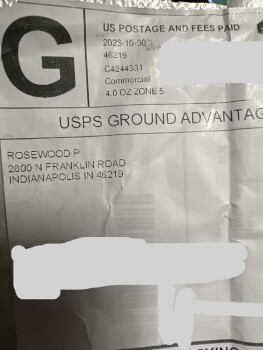 FAKE American Silver Eagles 照片 #1