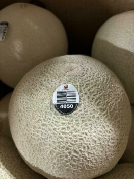 Reclame de Alimentos Malichita and Rudy Cantaloupes Update - recalled due to Salmonella The food recall warning issued on... foto #2