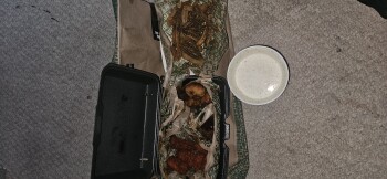 Wingstop, Irving Park Road, Schiller Park, IL, USA 照片 #1