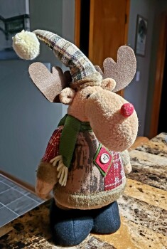 Gift of stuffed moose received that I did not order foto #1