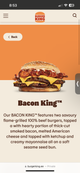 Burger King, Saluda Street, Rock Hill, SC, USA Foto #1