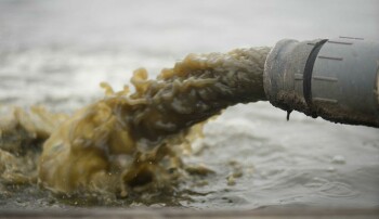 Lake Lawne in West Orlando Faces Contamination after Sanitary Waste Spill Foto #1