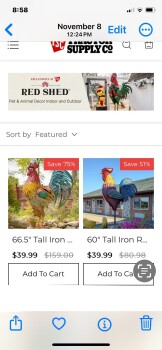 Scam Alert 照片 #1