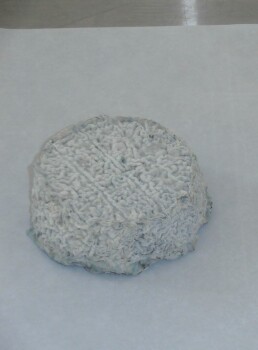 Food Recall LA CHEVRE RIEUSE raw goat milk cheeses - recalled due to Listeria RappelConso announced the recall o... Foto #5