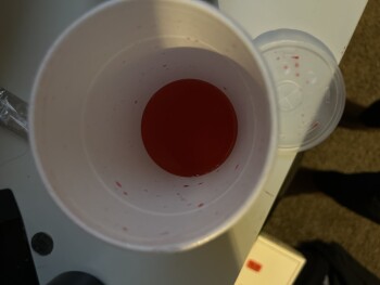 Graduate Breakfast lunch and Grill, South Patton Street, Philadelphia, PA, USA 照片 #1