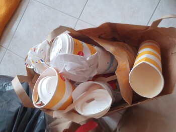 Consumer Review - Food Safety McDonald's Notre-Dame-de-Sanilhac, N21, Sanilhac, France Mon compagnon est mes trois enfants ainsi q... photo #1