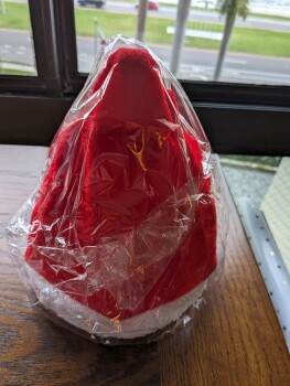 I received a package with a dozen motorized Santa Hats I did not order 照片 #1