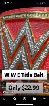 Rapport de sécurité du consommateur ACQRA cardiacmoment Me and my brother order some belt off the wwe shop well we thought it was real t... photo #1