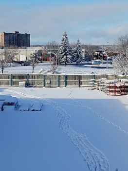 J'ai commandé un iphone que je n'ai jamais reçu Foto #1