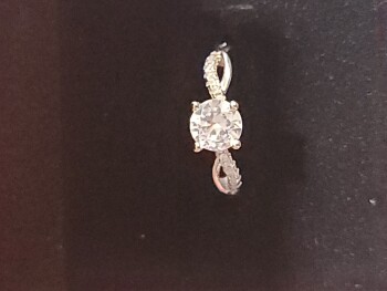 fraudulent site photo #1