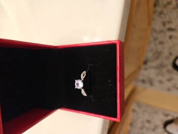 Verbrauchersicherheitsbericht I just received this random ring in the mail from Second Brother I just went to my mailbox and I saw... Foto #1