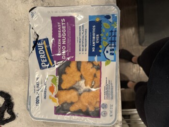 Dino Nuggets, New York State, USA صورة فوتوغرافية #1