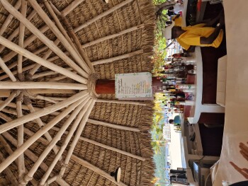 Cayo Levantado, Dominican Republic photo #1