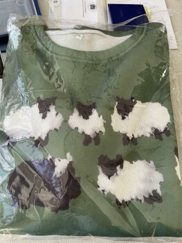 Wrong items sent photo #1