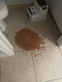 McDonald's, Pines Boulevard, Pembroke Pines, Florida, USA photo #1