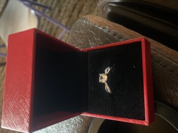 I am reporting I did not order a ring 照片 #1