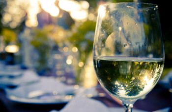 Food Recall Brancott Estate Marlborough 2023 Sauvignon Blanc recalled due to undeclared sulphites Brancott Estat... photo #1