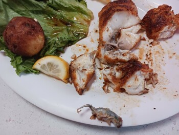 Scenic 90 Cafe, Scenic Highway, Pensacola, FL, USA photo #1