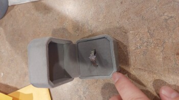 Consumer Safety Report A random ring I received I received a ring from sender Carlson Sweden 285 Raritan Center PKWY Astori... photo #1