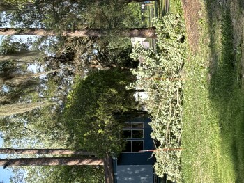 Estoy informando photo #1