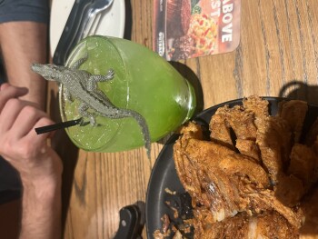 Outback Steakhouse, Northwest 77th Court, Miami Lakes, FL, USA photo #1