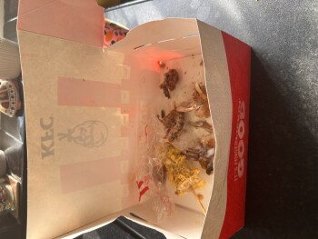 KFC Hinckley - Maple Drive, Coventry Road, Maple Drive, Hinckley, UK photo #1