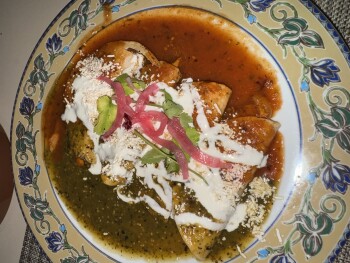 Agave, Paseo Xaman - Ha, Playacar, Playa del Carmen, Quintana Roo, Mexico photo #1