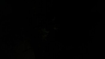 Power Outage Foto #1