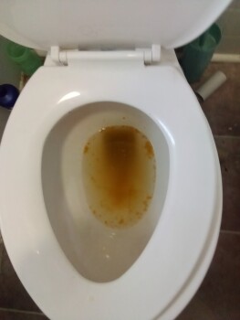 Corryton, TN, USA photo #1