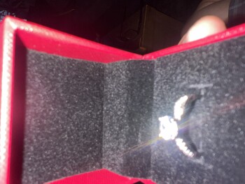 I am reporting photo #1