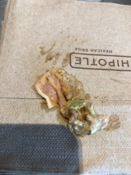 Chipotle Mexican Grill 照片 #1