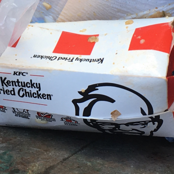 KFC, East Magnolia Street, Fort Collins, CO, USA photo #1