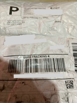 Package arrived open and empty, today at 4:00 pm, Oct.2, 2024. photo #1